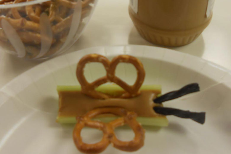 Celery & Pretzel Butterflies - Critter Crafts: Insect Craft Activities for Elementary Students