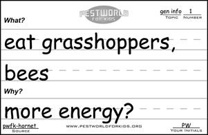 Note Eatgrasshopper 2