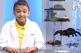 Pest Quest, Season 1, Episode 7: Anatomy of an ant, how to stop a spider from biting and you might be a rat, if...