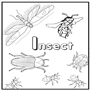 Grades K-2: Intro to Pests - Insect Lesson Plans for Kids