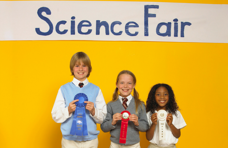 Science Fair Projects - Insect Projects for Elementary Students